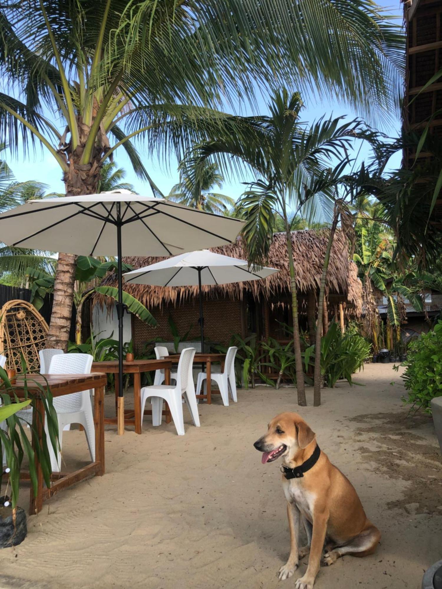 Zhaya'S Beach & Cottages El Nido Dış mekan fotoğraf