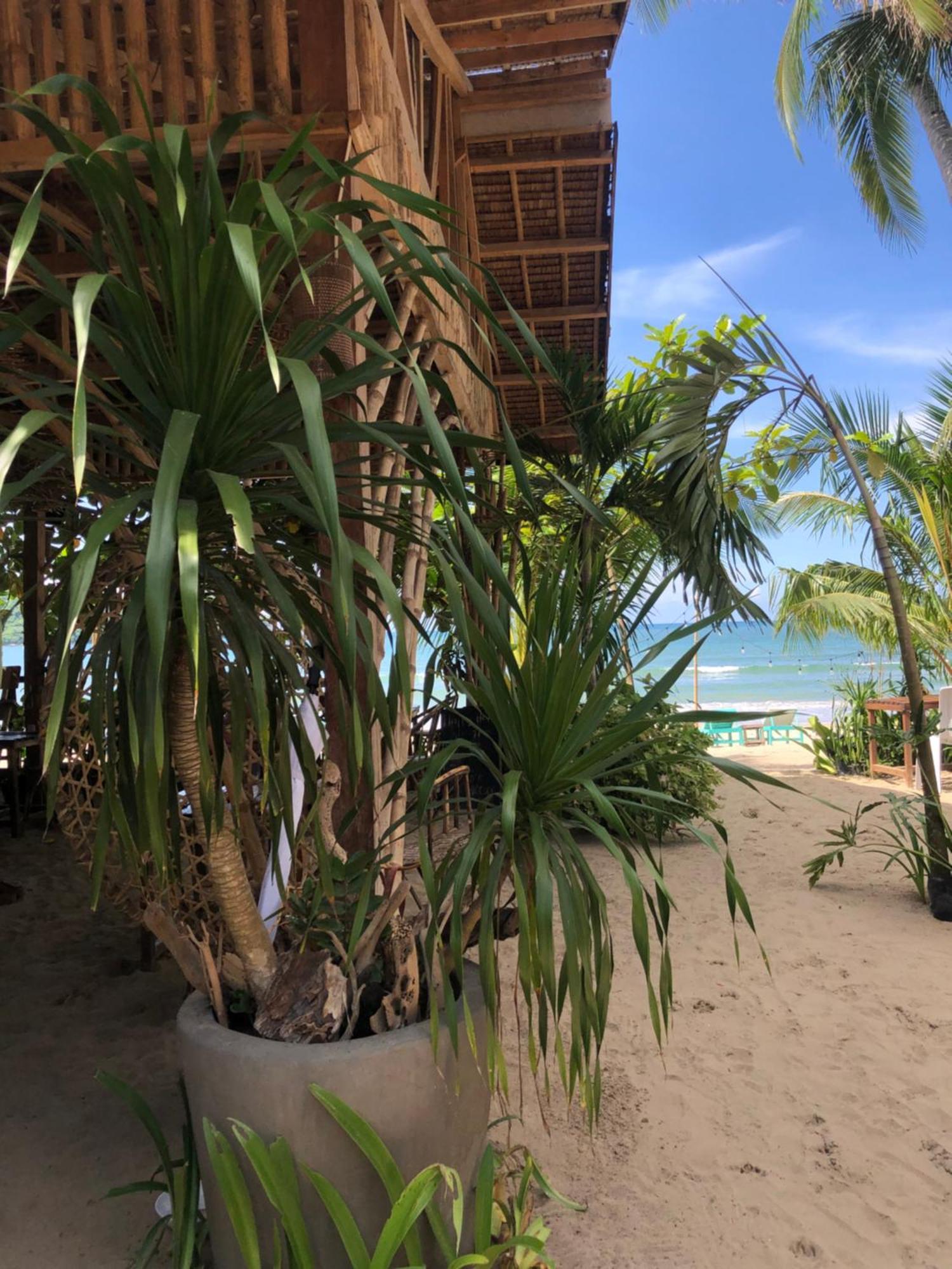 Zhaya'S Beach & Cottages El Nido Dış mekan fotoğraf